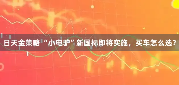 日天金策略 “小电驴”新国标即将实施，买车怎么选？