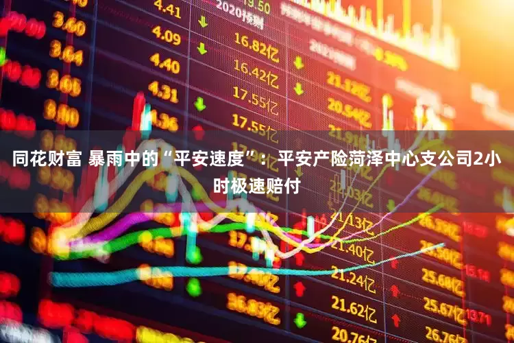 同花财富 暴雨中的“平安速度”：平安产险菏泽中心支公司2小时极速赔付