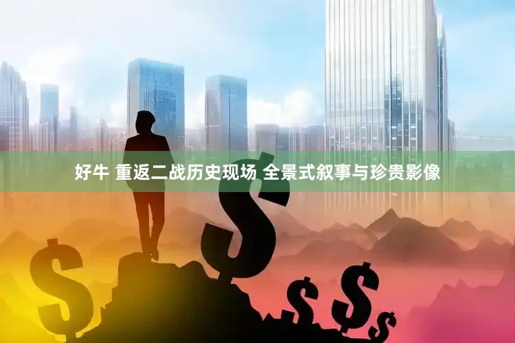 好牛 重返二战历史现场 全景式叙事与珍贵影像