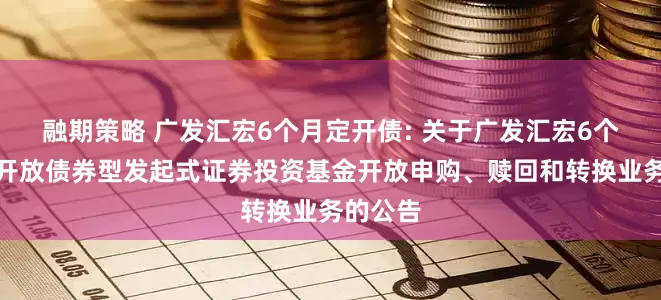 融期策略 广发汇宏6个月定开债: 关于广发汇宏6个月定期开放债券型发起式证券投资基金开放申购、赎回和转换业务的公告